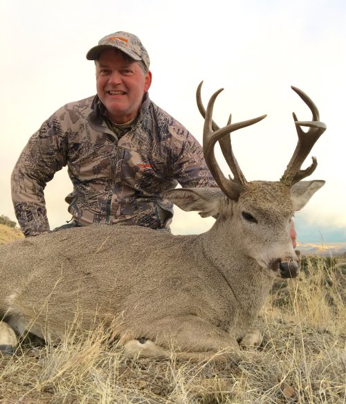 2015  AZ Coues Whitetail Deer.JPG