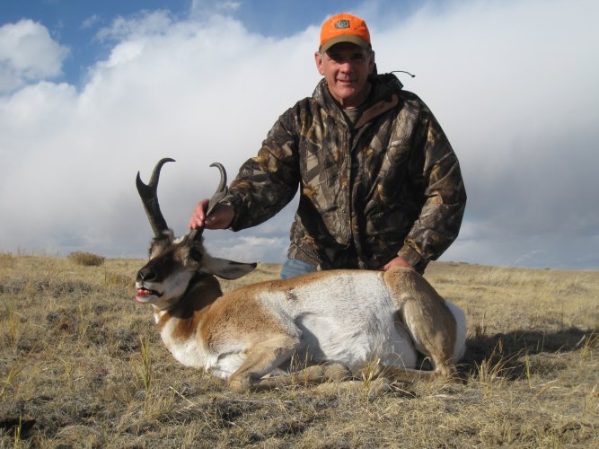 Wyoming antelope 2.jpg