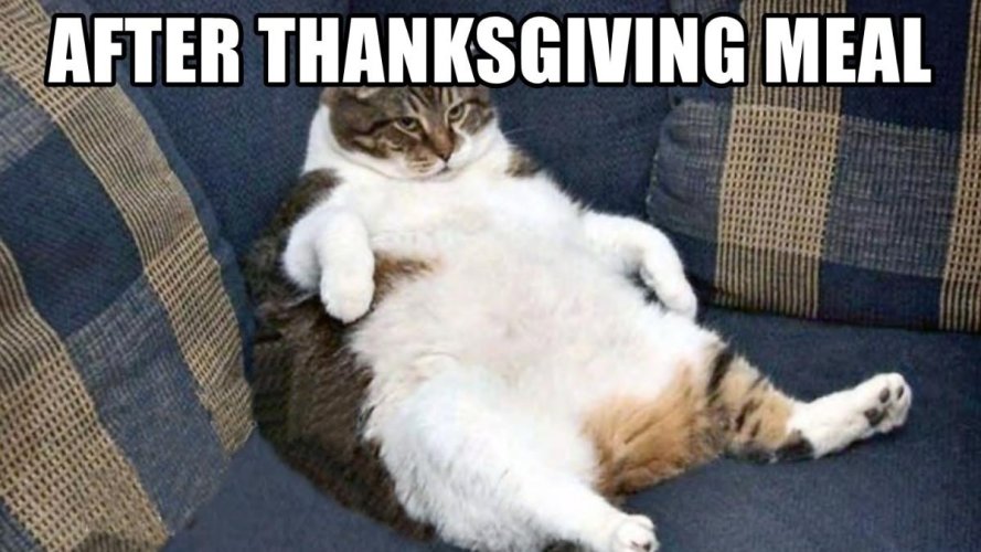 After-Thanksgiving-Memes-2267474711.jpg