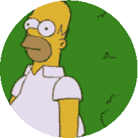 the-simpsons-homer.gif