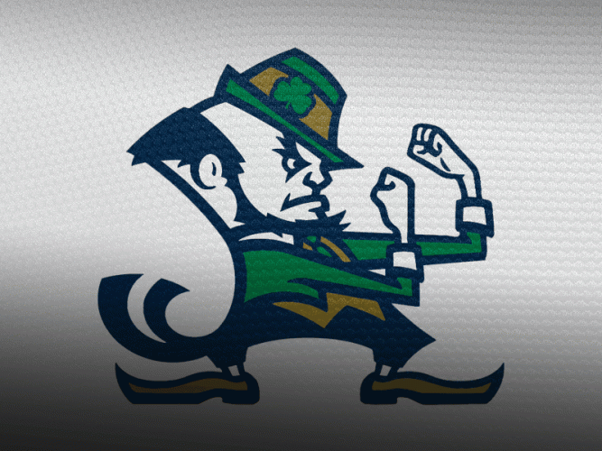 Fighting Irish.gif