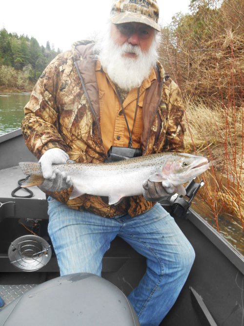 steelhead 25.JPG