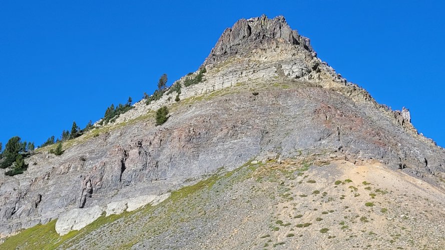 Bighorn Rams near Daisy Pass.jpg