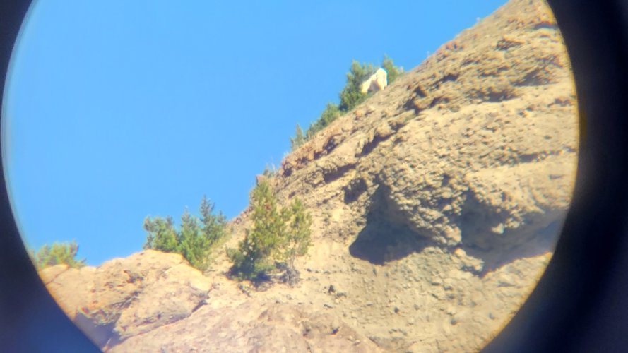 Billy on cliffs above Wolverine Pass.jpg