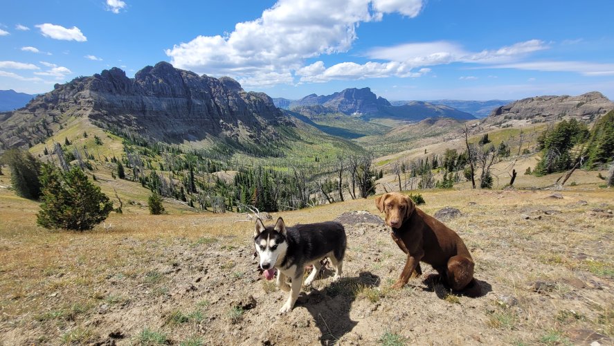 Dogs at head of Lost Creek.jpg