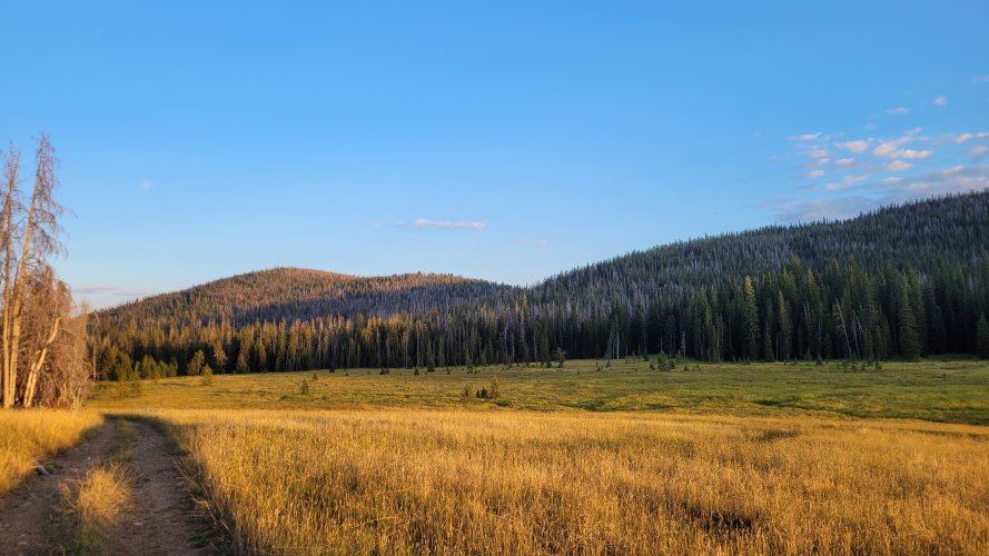 Elkhorn meadows view.jpg