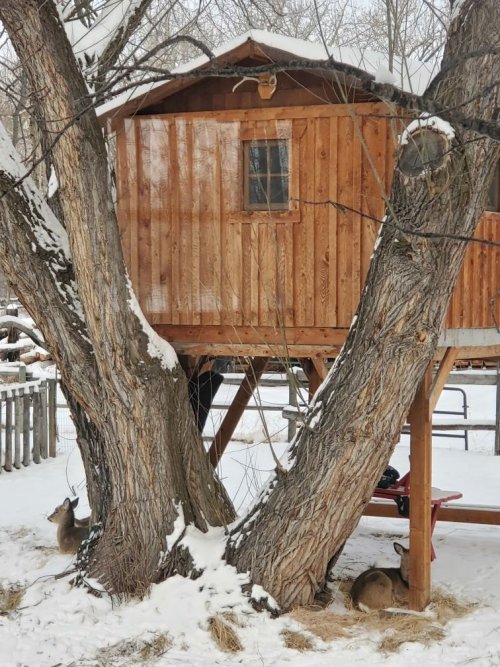 Deer under treehouse.jpg