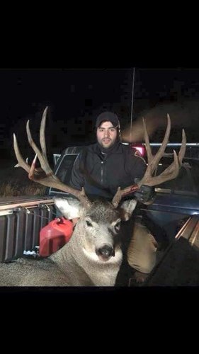 big-muley.jpg