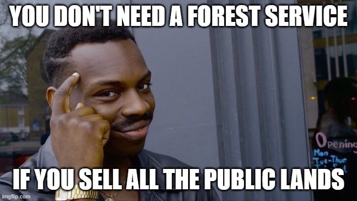 forest.jpg