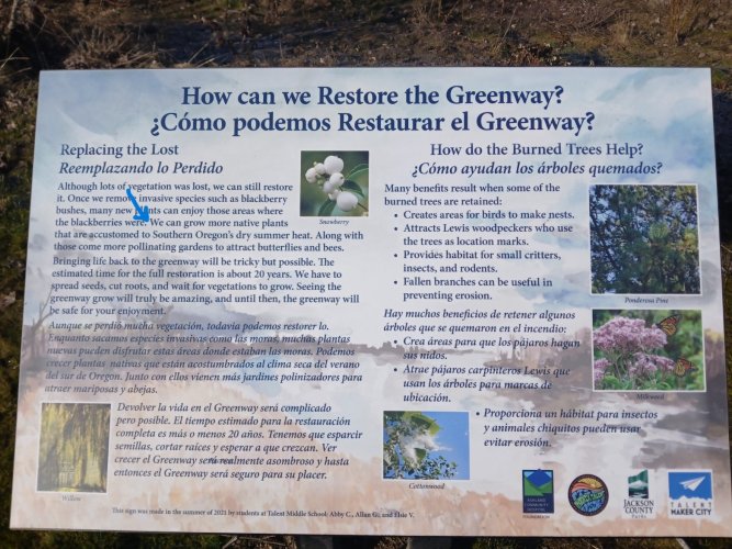 greenway 1.jpg