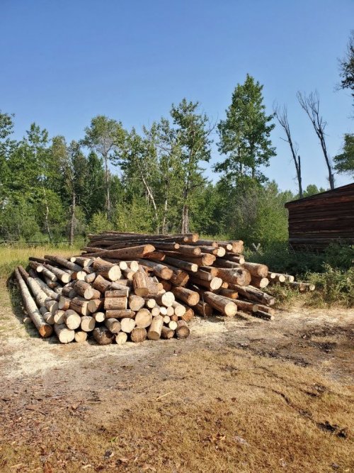 Raw firewood.jpg