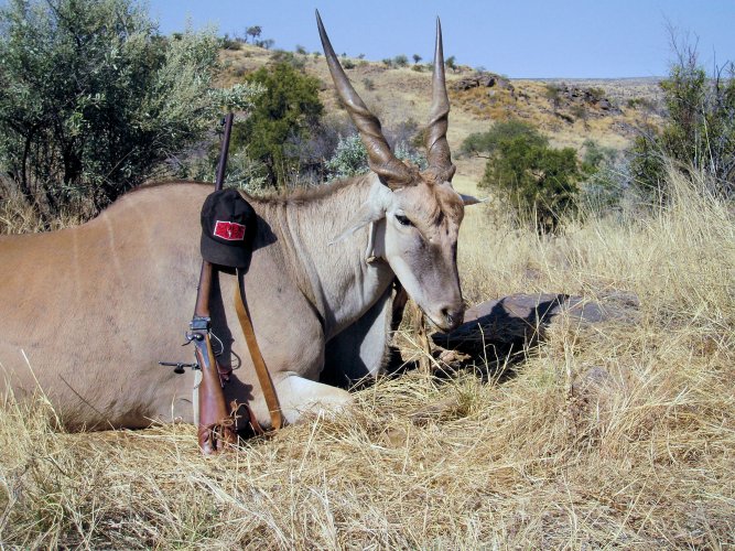 Leopard Lodge Eland 5.jpg