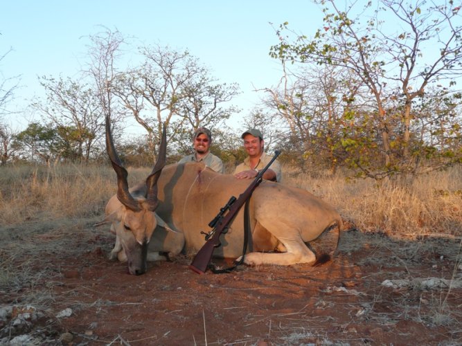 Eland 2.jpg