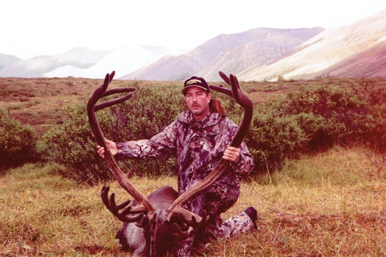 Caribou Yukon 2001.jpg