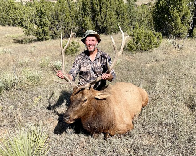 CO Elk 2.jpg