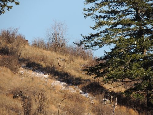 Gerald and Travis elk hunt 095.jpg