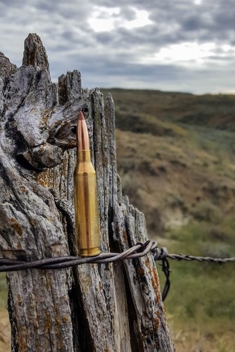 Nosler260.jpg