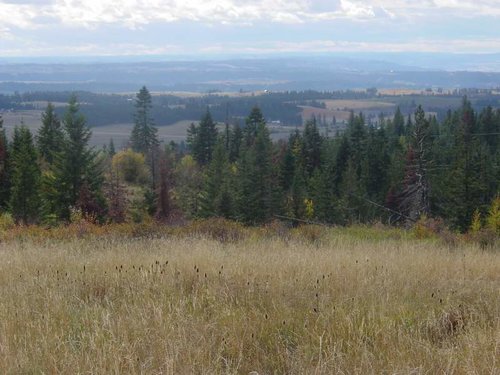 Farmground above Cavendish.jpg