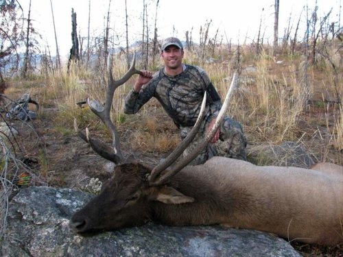 2009_0915_Dave Perry Idaho Elk 3_small.jpg