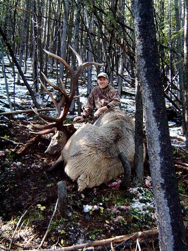 2005 ELK 016.jpg