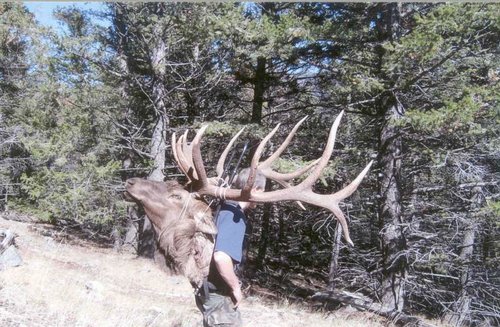 2005 elk pack.jpg