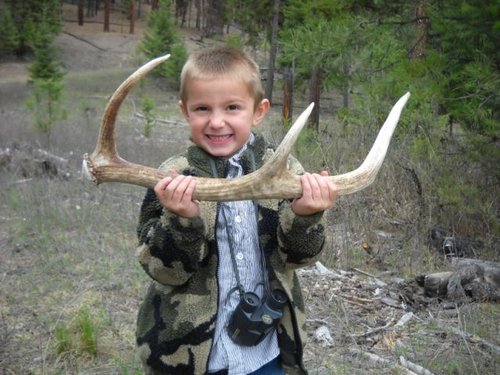 Braden First Elk horn.JPG