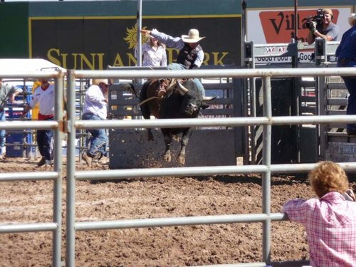 bull ridin.jpg