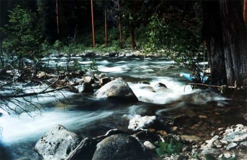 Pinchot Creek-Selway river.jpg