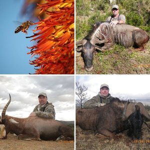 Africa hunt 2011