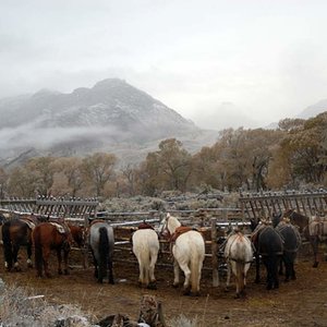 Horses ready to go