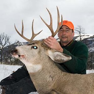 My first mule deer. No record breaker but it was the last day of a 7 day wilderness hunt.