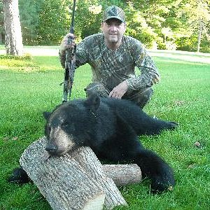 Maine black bear 2009.