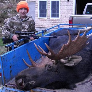 Stephen's first kill, not bad for an eleven year old. 740 lb w/ 43 in spread. 2009 Maine Moose Hunt