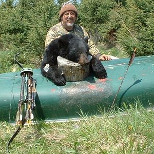 2003 Canada Blk Bear. Quebec, Canada ..Fred bear T/D Recurve