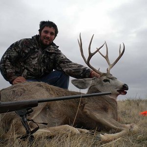 mule deer 10