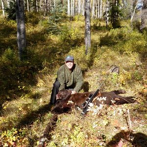 My first bear ever, shot in a huckleberry patch near Kluskoil Lake, BC