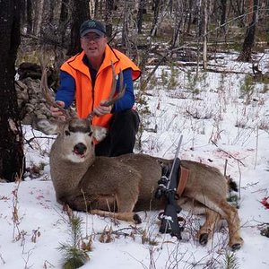 A nice four point on the last day in National Forest by Big Timber, Montana