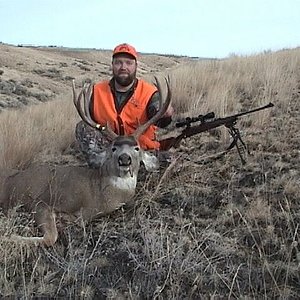 Washington Mule Deer