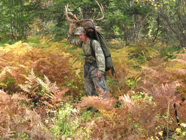 2008 Archery Bull