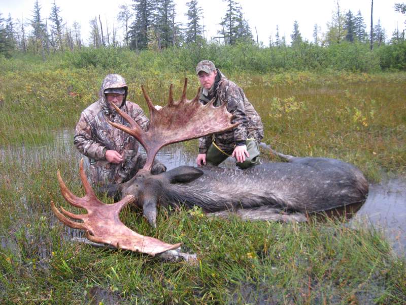 Alaska Moose Hunt