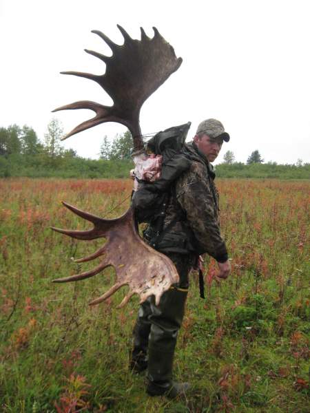 Alaska Moose Hunt