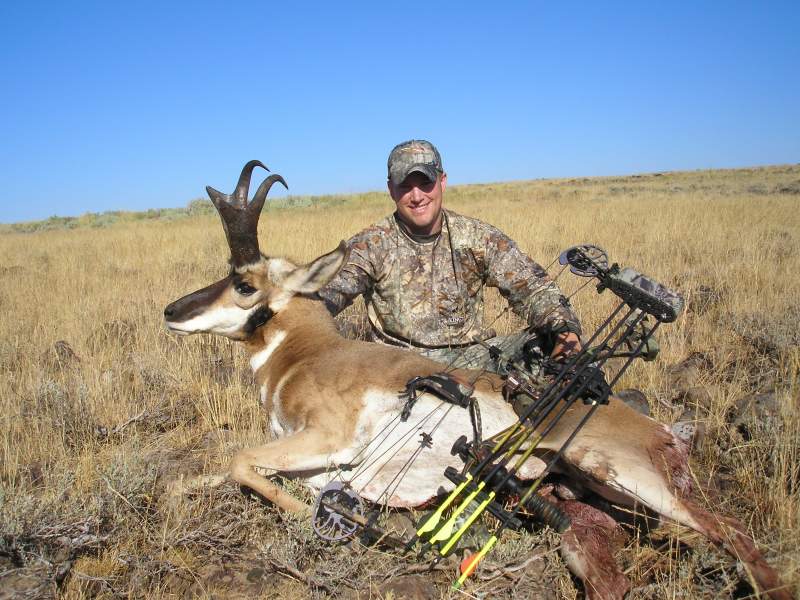 antelope 2008