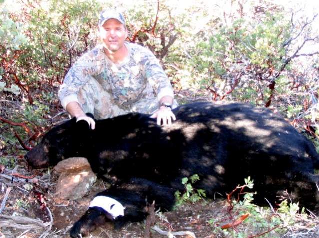 Arizona bear shot at 80 yards