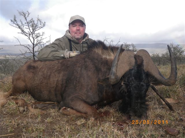 Black Wildebeest

Went to South Africa June2011, winter there, with rain, wind it was chilly , had snow flakes that day .