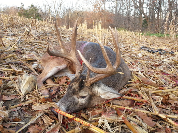 buck2016 small