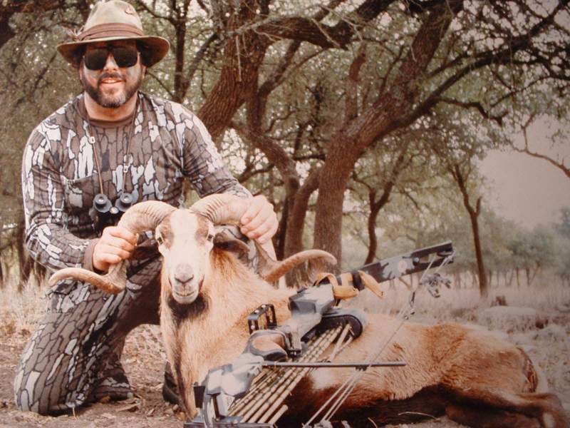 Corsican Sheep..YO Ranch, Mt. Home, Texas…PSE Compound Bow