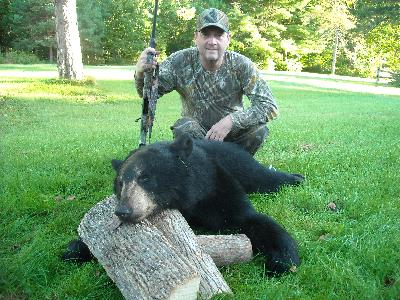 Maine black bear 2009.