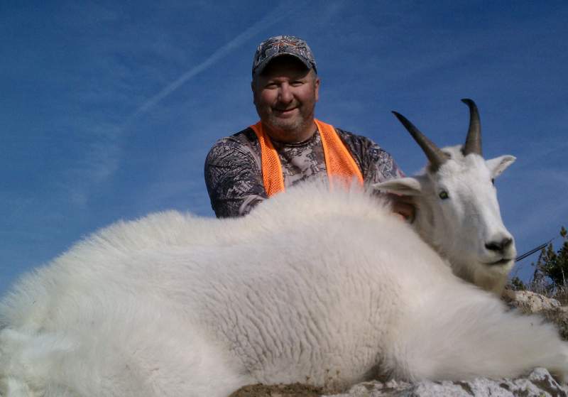 Montana 2014 Mountain Goat