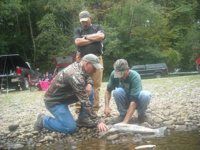 my brothers eager to clean my first King on the Nisqually river