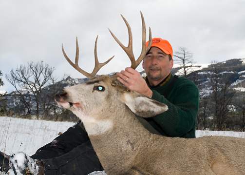 My first mule deer. No record breaker but it was the last day of a 7 day wilderness hunt.